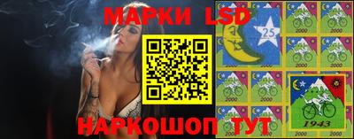 apvp Гатчина
