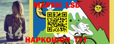 apvp Гатчина