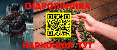 apvp Гатчина
