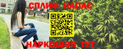 apvp Гатчина