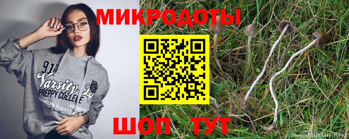 Галлюциногенные грибы мухоморы Выкса