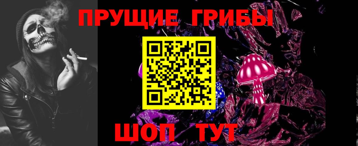 Выкса  Псилоцибиновые грибы MAGIC MUSHROOMS  Вход с VPN  Псилоцибиновые грибы Cubensis 